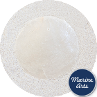 Capiz Disc - Natural 65mm - Craft Pack